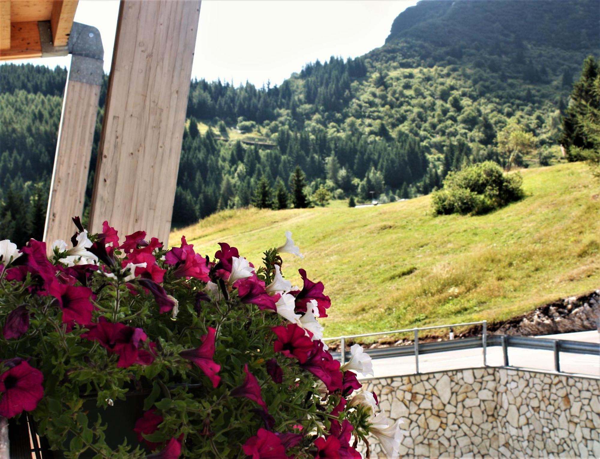 Отель Brenta Dolomites Васон Экстерьер фото